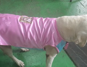 한복감으로 조끼제작 - 수강생 작